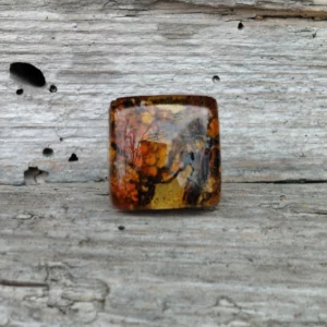 Pierścień z porostami