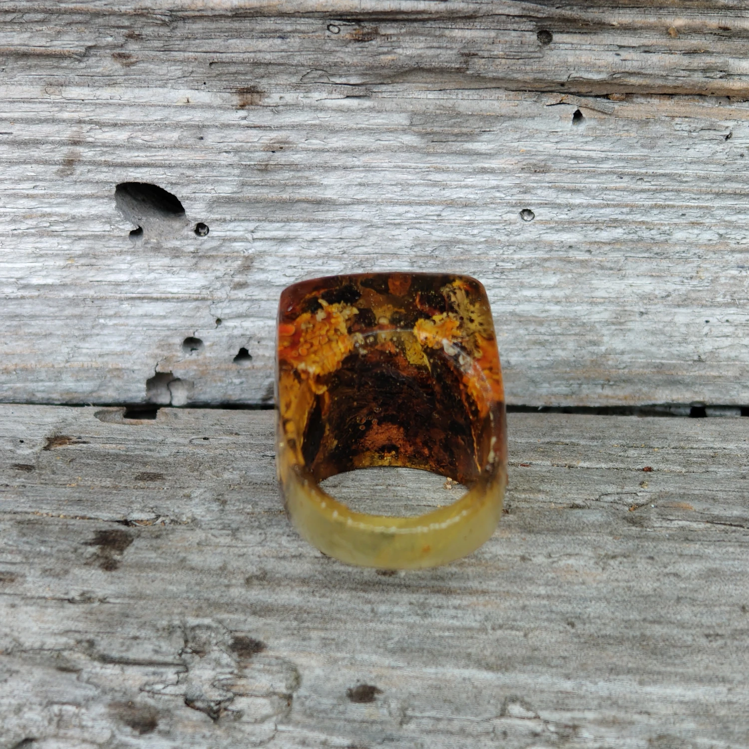 Pierścień z porostami tył