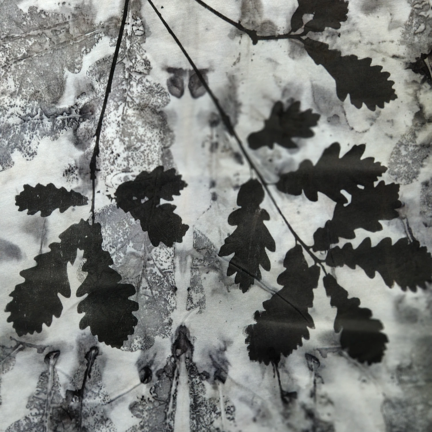 koszulka dębowy zagajnik fragment