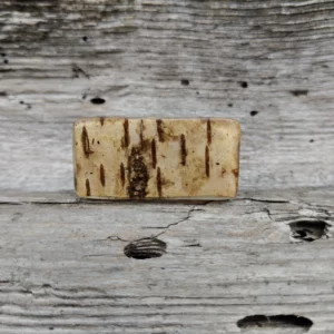 pierścień kora brzozy