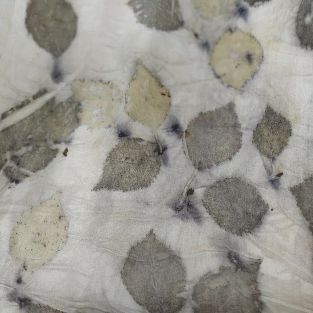 szal dotyk brzozy fragment