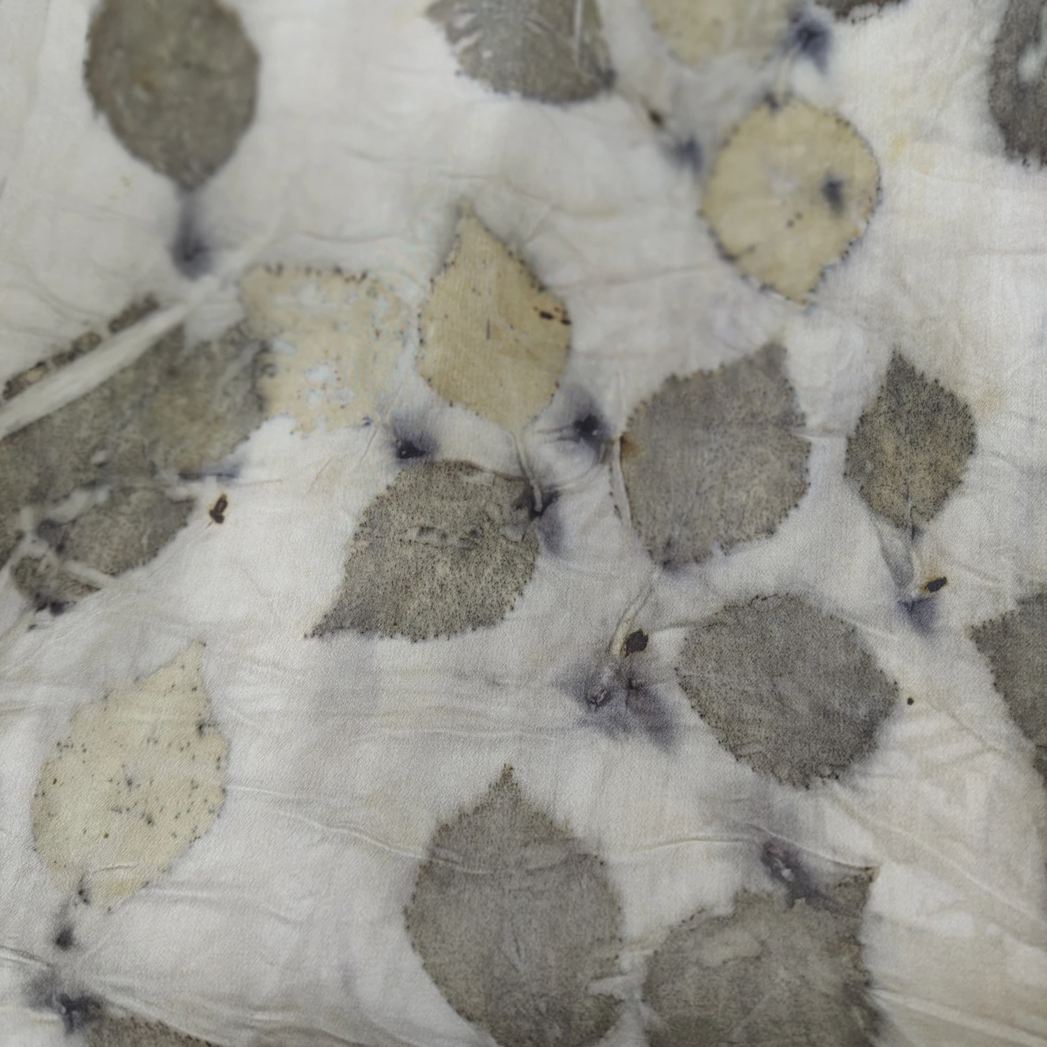 szal dotyk brzozy fragment