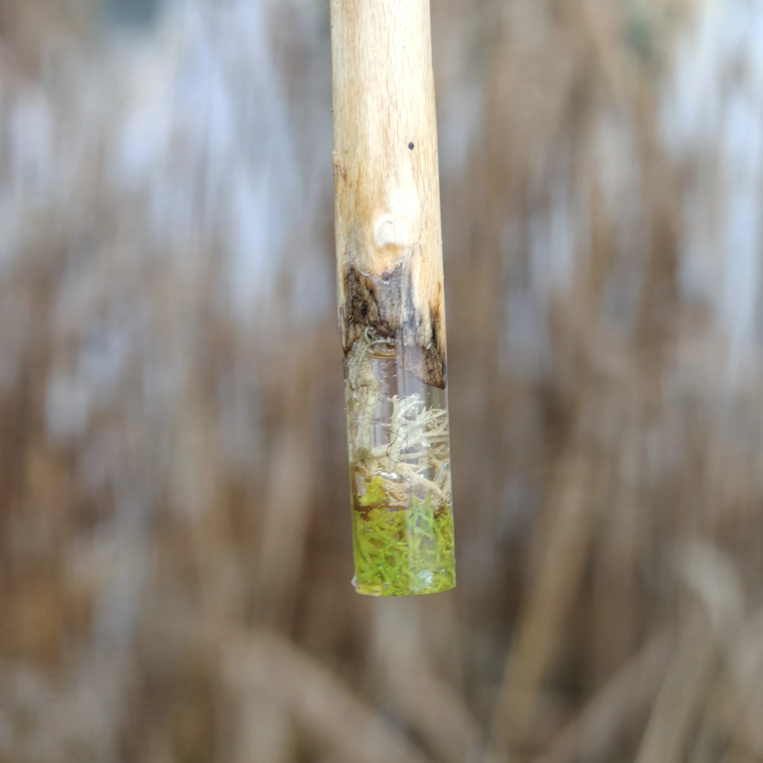 zawieszka nietypowy patyczak